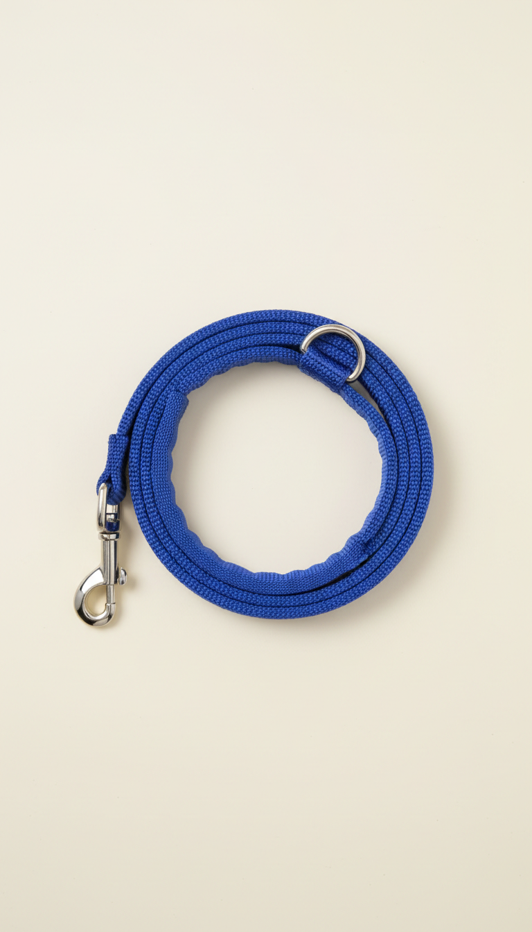 Royal Blue Nylon Leash