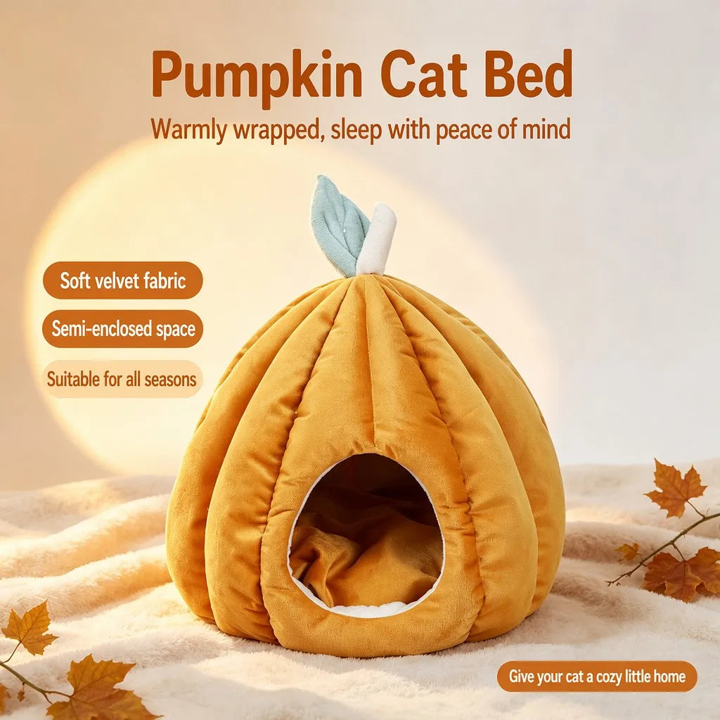 Pumpkin cat bed with autumn decor on fur blanket