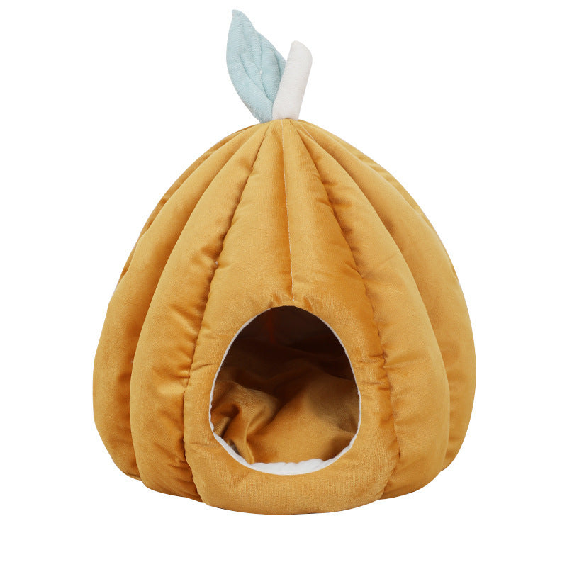 Apricot yellow pumpkin cat bed on white background