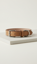 Leather dog collar with matte hardware