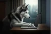 A New Concept of Pet Technology: Enhancing Your Pet's Life - Post Thumbnail
