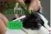 Cat Ear Cleaning: A Simple Guide to Safely Clean Your Cat’s Ears - Post Thumbnail