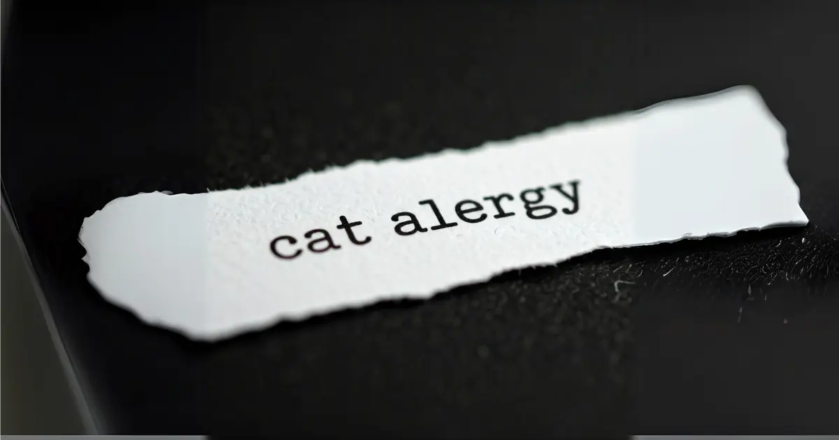 Natural Treatments for Cat Allergies And Home Remedies 1 Natural Treatments for Cat Allergies And Home Remedies