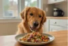 The Benefits of Natural Dog Food: A Healthier Option for Your Pup - Post Thumbnail