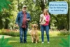 What Are the Best Tips for Rehoming an Adult Dog? - Post Thumbnail