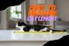 Average Cat Length from Nose to Tail: Complete Guide - Post Thumbnail