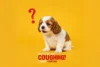 Why Is My Dog Coughing? Causes, Symptoms, and How to Help - Post Thumbnail