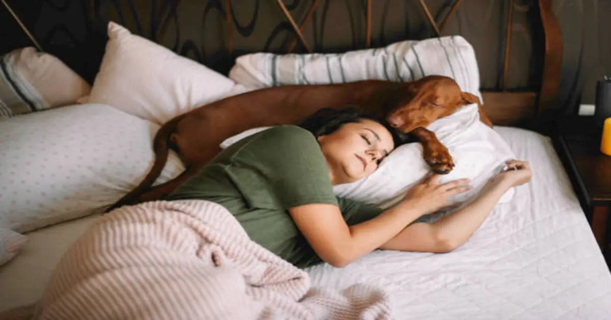 Why Do Dogs Need So Much Sleep? The Surprising Benefits of Their Rest 3 sleeping dog and a woman with same bed.